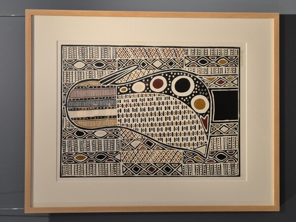 Whistling duck - Jurriyi