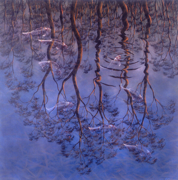 Fish and reflections 2